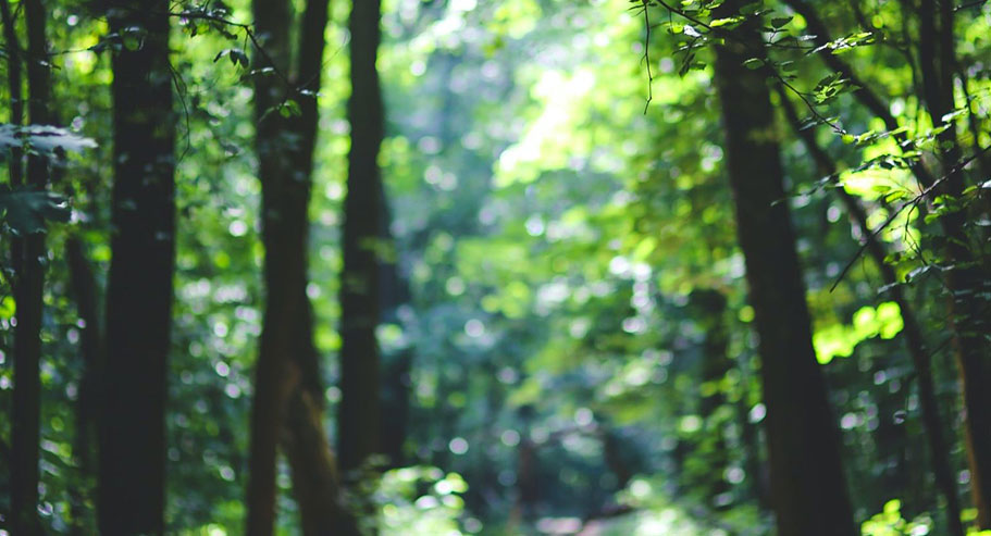 জিয়াক্সিং জুয়ানি ইন্টারন্যাশনাল ট্রেড কোং, লিমিটেড